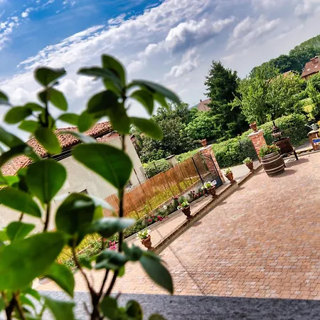 La Cantina Rent Agliè